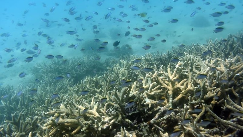 PM not swayed by major climate report