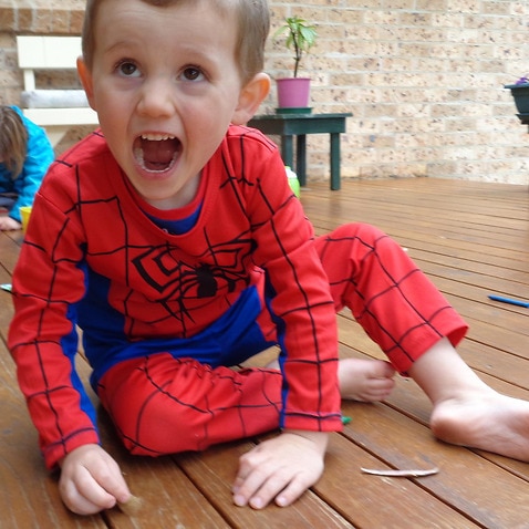 William Tyrrell vanished from a home in Kendall, NSW in 2014.