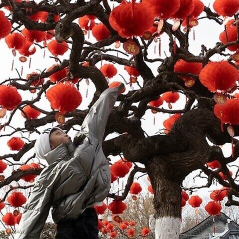 A child jumps to touch lanterns hung on a tree ahead of the Lunar New Year celebrations.