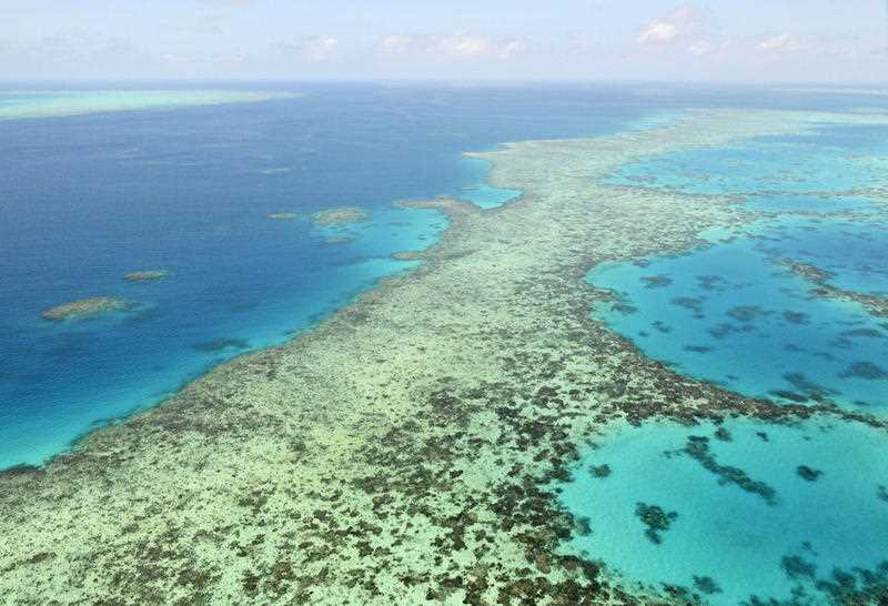 Leading climate scientists say Australia's politicians have a responsibility to help protect the Great Barrier Reef.