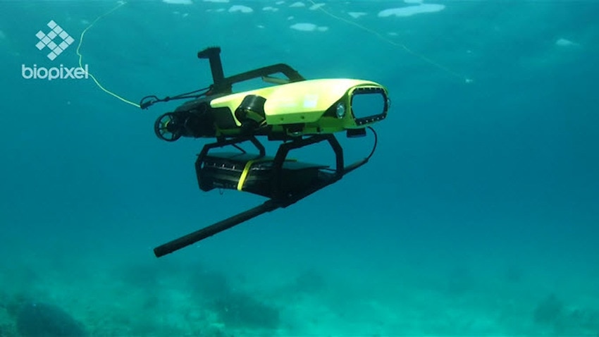 Underwater robot delivers baby coral to stricken reef | SBS News