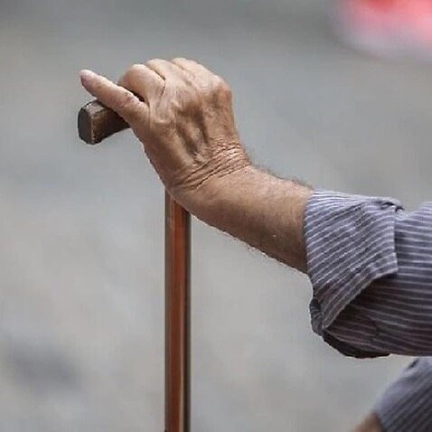 The Federal Government is coming under pressure to make changes to the age pension. 