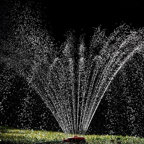 A sprinkler waters a garden (AAP)