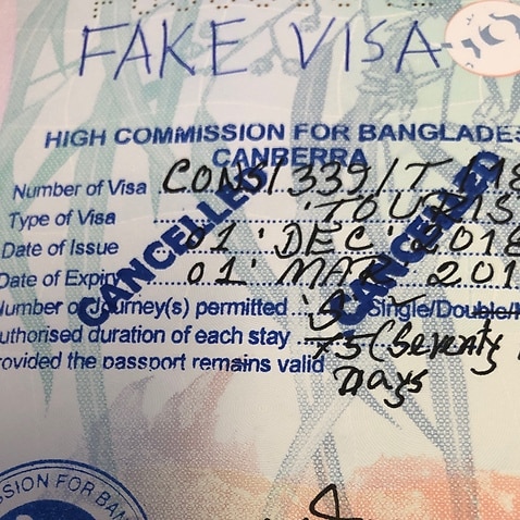 Visa Fraud