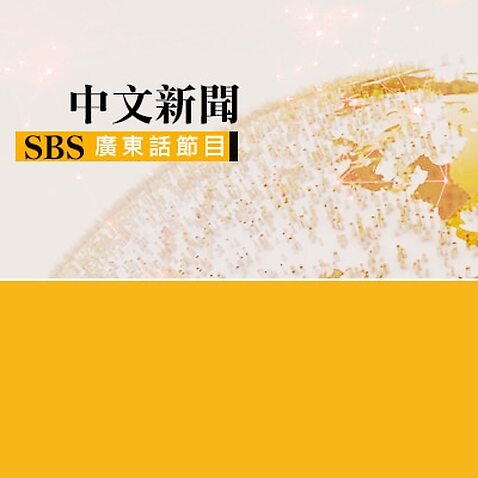 SBS Chinese News