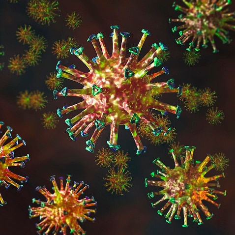 A 3-D render of the COVID-19 virus.