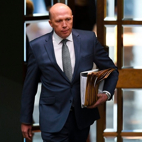 Australian Home Affairs Minister Peter Dutton has spoken out about the granting of a visa at the last minute to a young tourist to stay and work as a nanny.