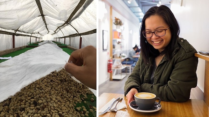SBS Language | Abegail was missing Filipino Benguet coffee, so she decided to bring it to Australia - Vimarsana News
