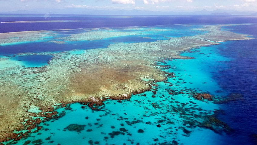 Great Barrier Reef set to face more frequent mass bleaching events ...