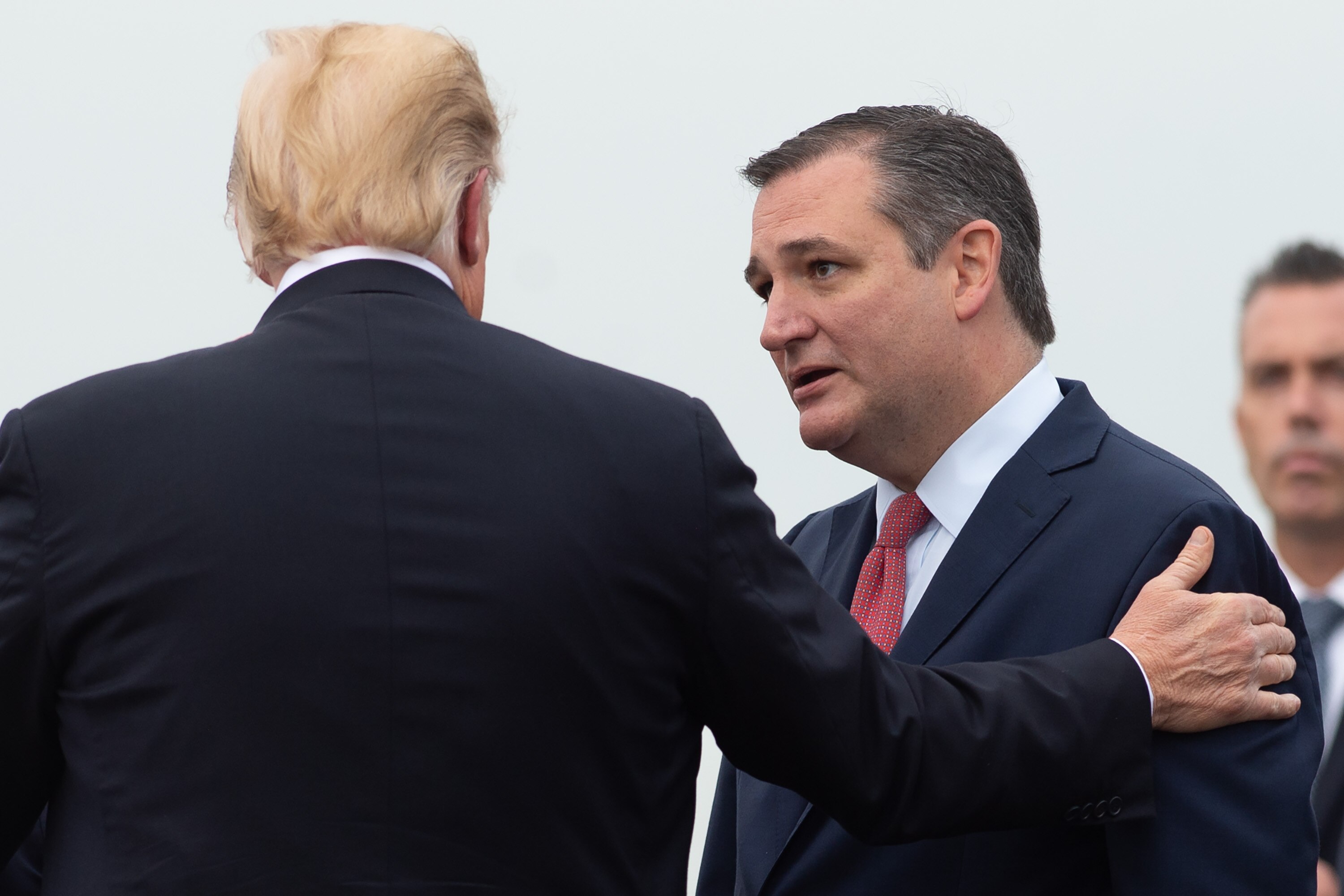 US-Senator Ted Cruz ist einer von mehreren, die versuchen, die Basis von Herrn Trump zu erschließen. 