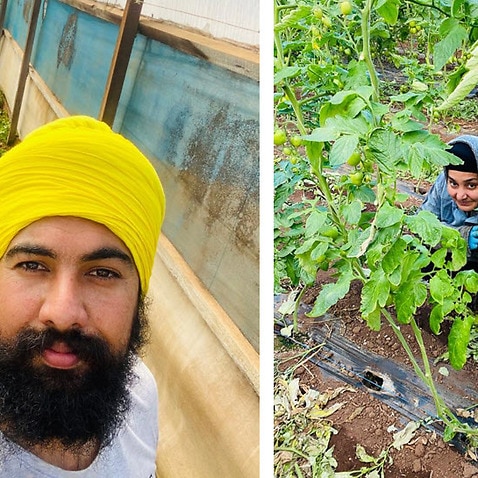 Gurpreet Kaur and her husband have a passion for farming. 