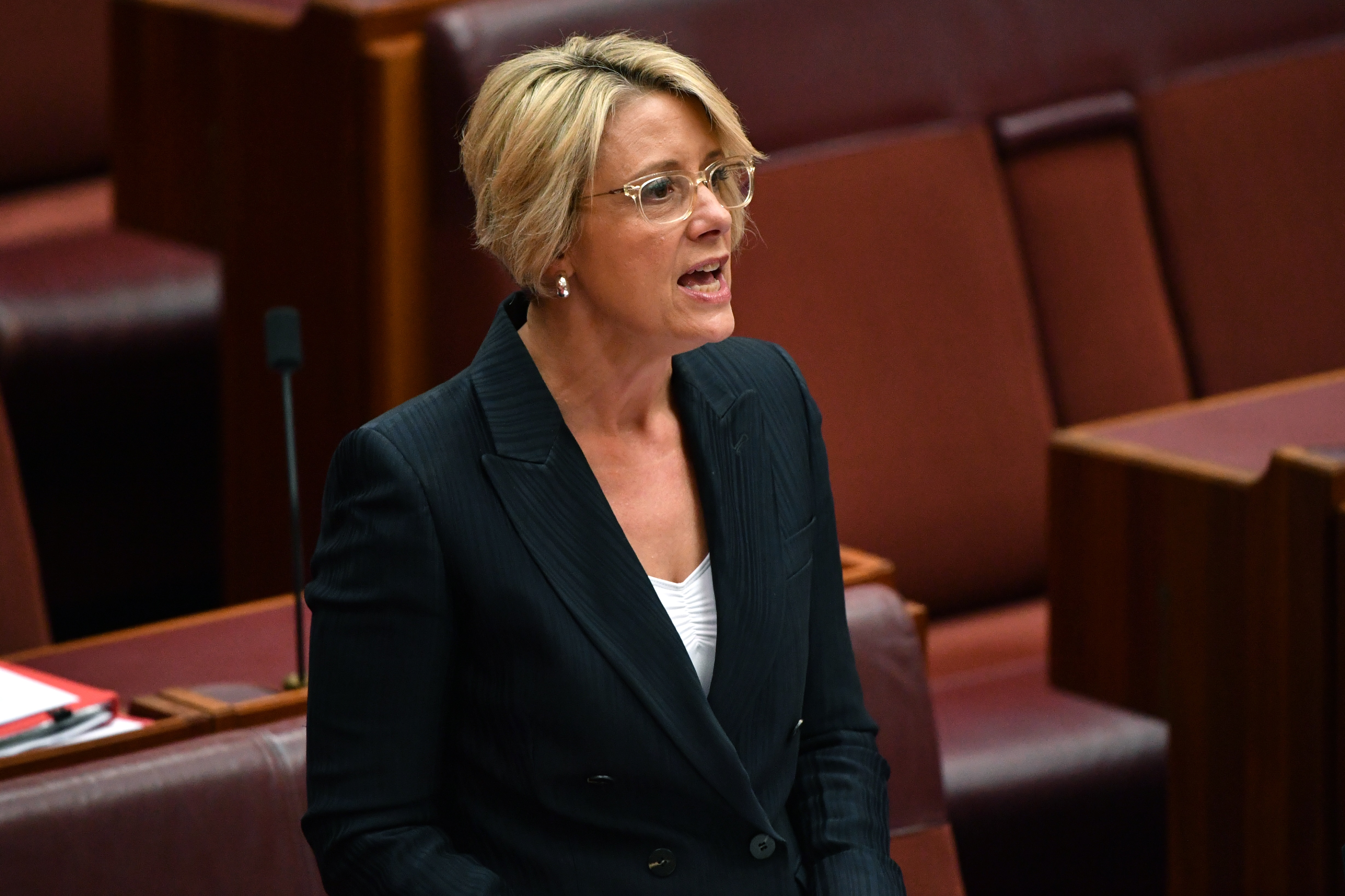 Australia Has Become Over Reliant On Temporary Migrants Kristina Keneally Warns