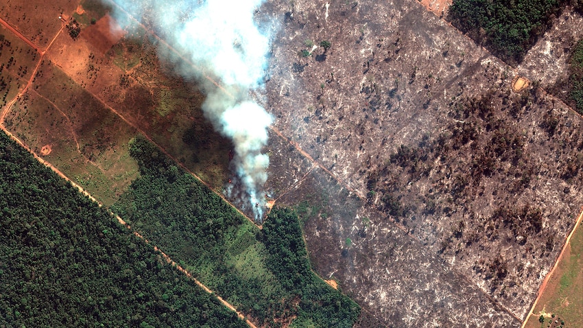 Image for read more article ''The Amazon must be protected': UN Chief says fires are deeply concerning'