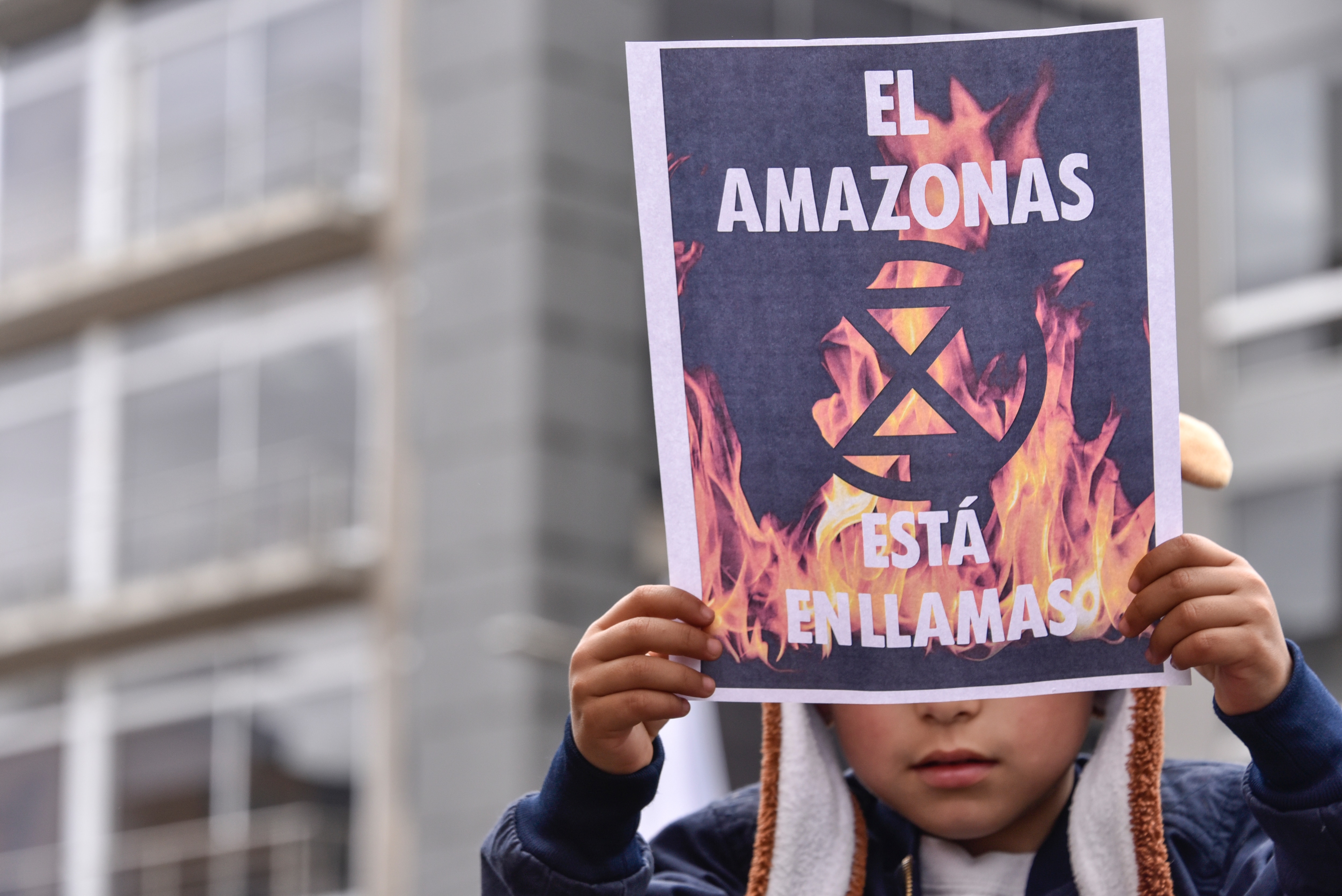 A boy holds a poster "the Amazon is on fire" (El Amazonas est en llamas in Spanish) during the 'S.O.S Amazonia' protest in response to Amazon rainforest fires.