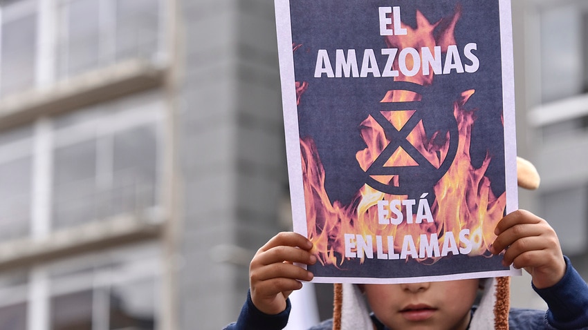 Image for read more article 'EU issues warning to Brazil over Amazon fires'