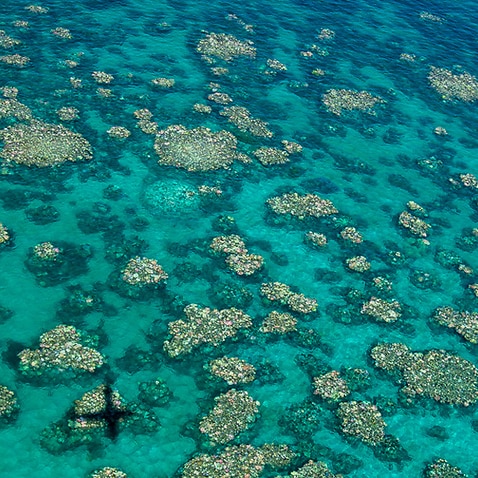 Aerial image of bleaching damages on the Great barrier Reef