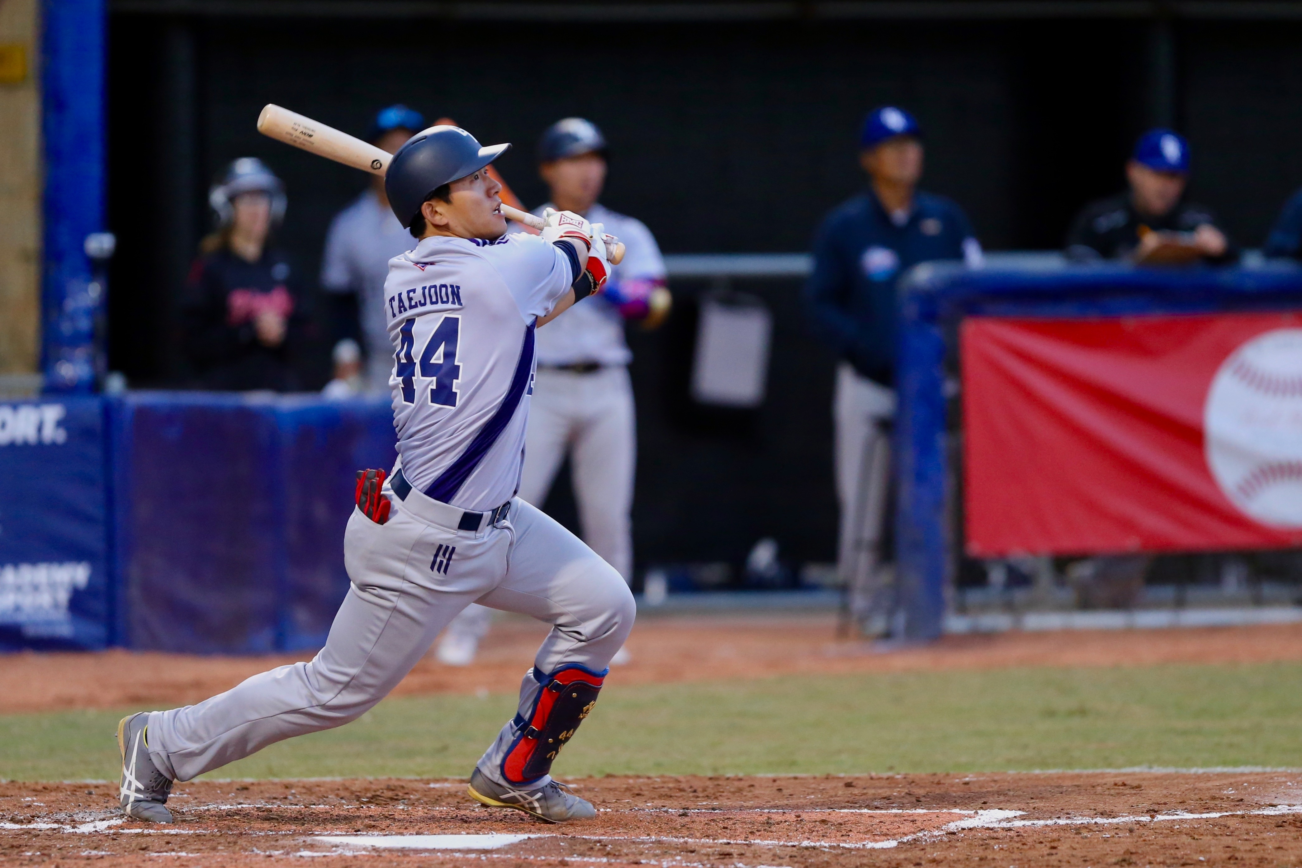 SBS Language  Korean experiment helps Australian Baseball League hit a