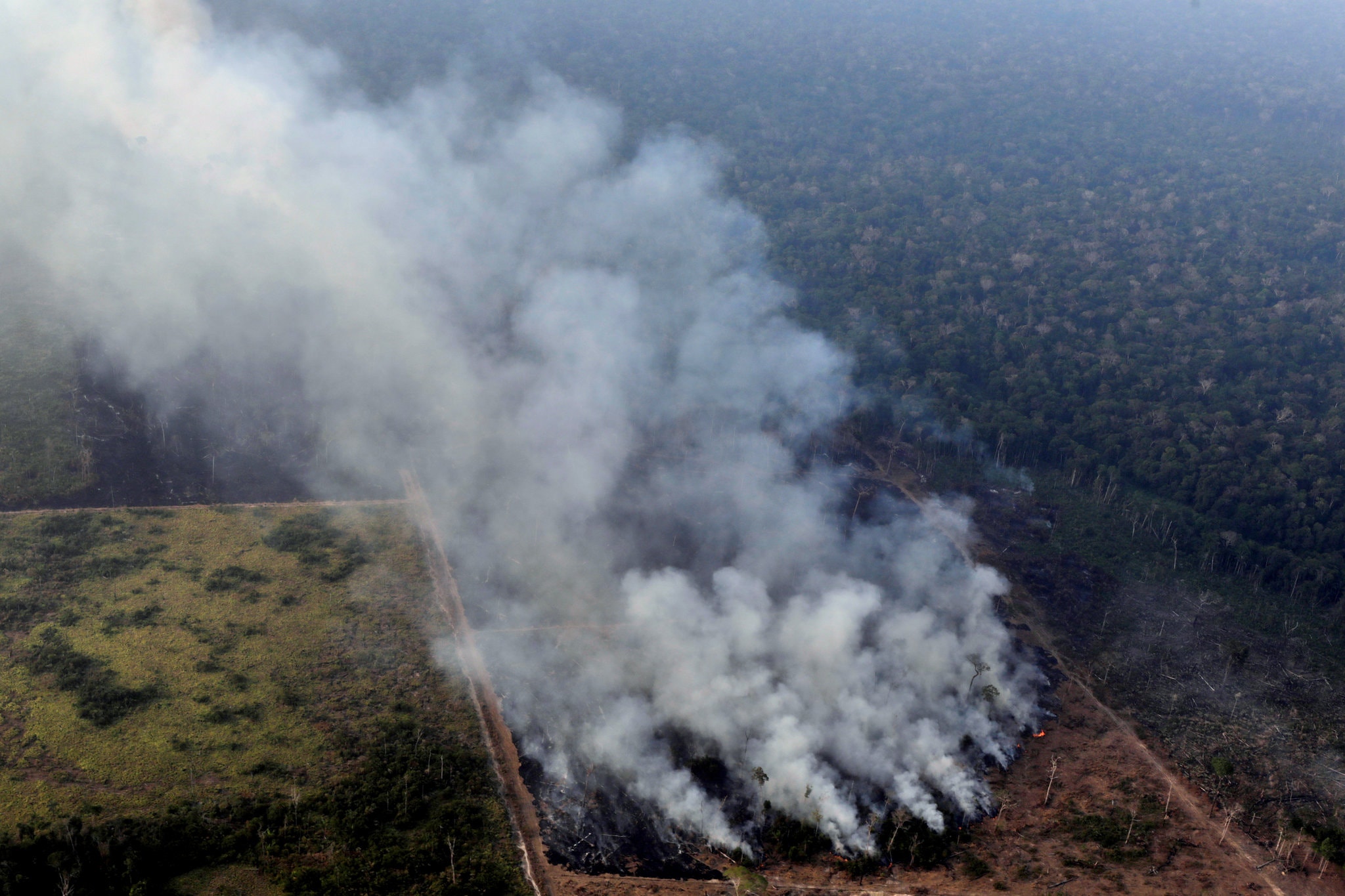 Amazon rainforest fires: Here’s what's really happening | SBS News