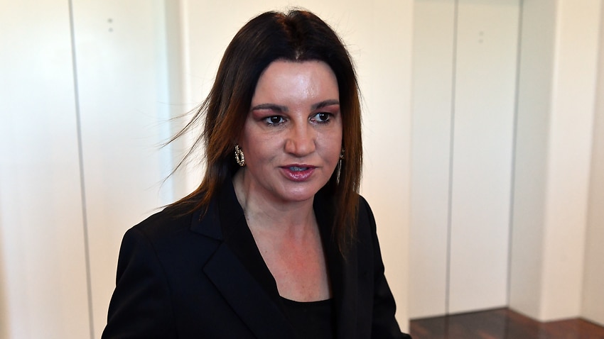 Image for read more article 'Jacqui Lambie concerned medevac laws will set off a 'domino effect' of boat arrivals'