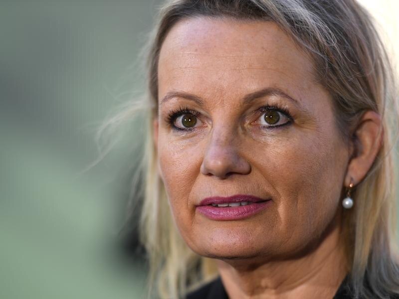 Environment Minister Sussan Ley says she never received an appeal