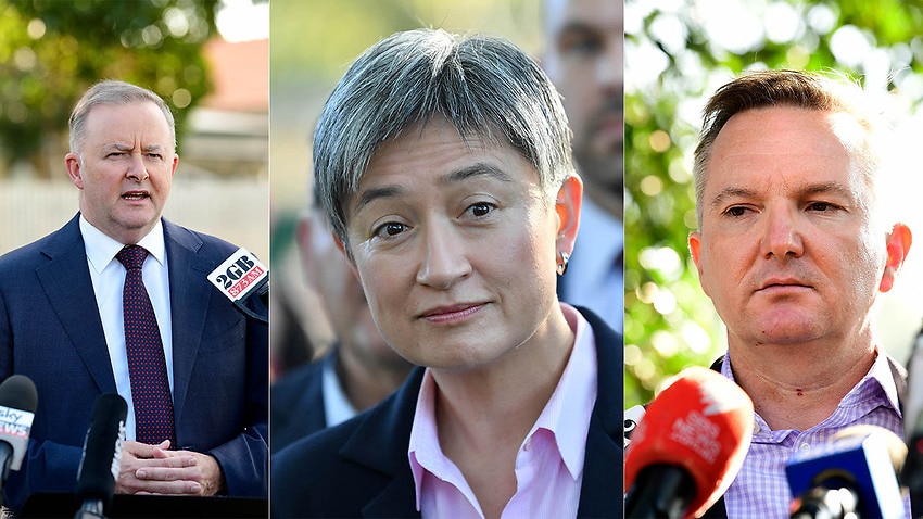 Image for read more article 'Why Penny Wong is backing Albanese for Labor leader'