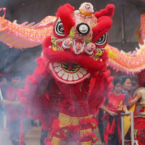 Lion dancers perform during the Georges River Lunar New Year Festival in Sydney, Saturday, January 18, 2020. (AAP Image/Jeremy Ng) NO ARCHIVING