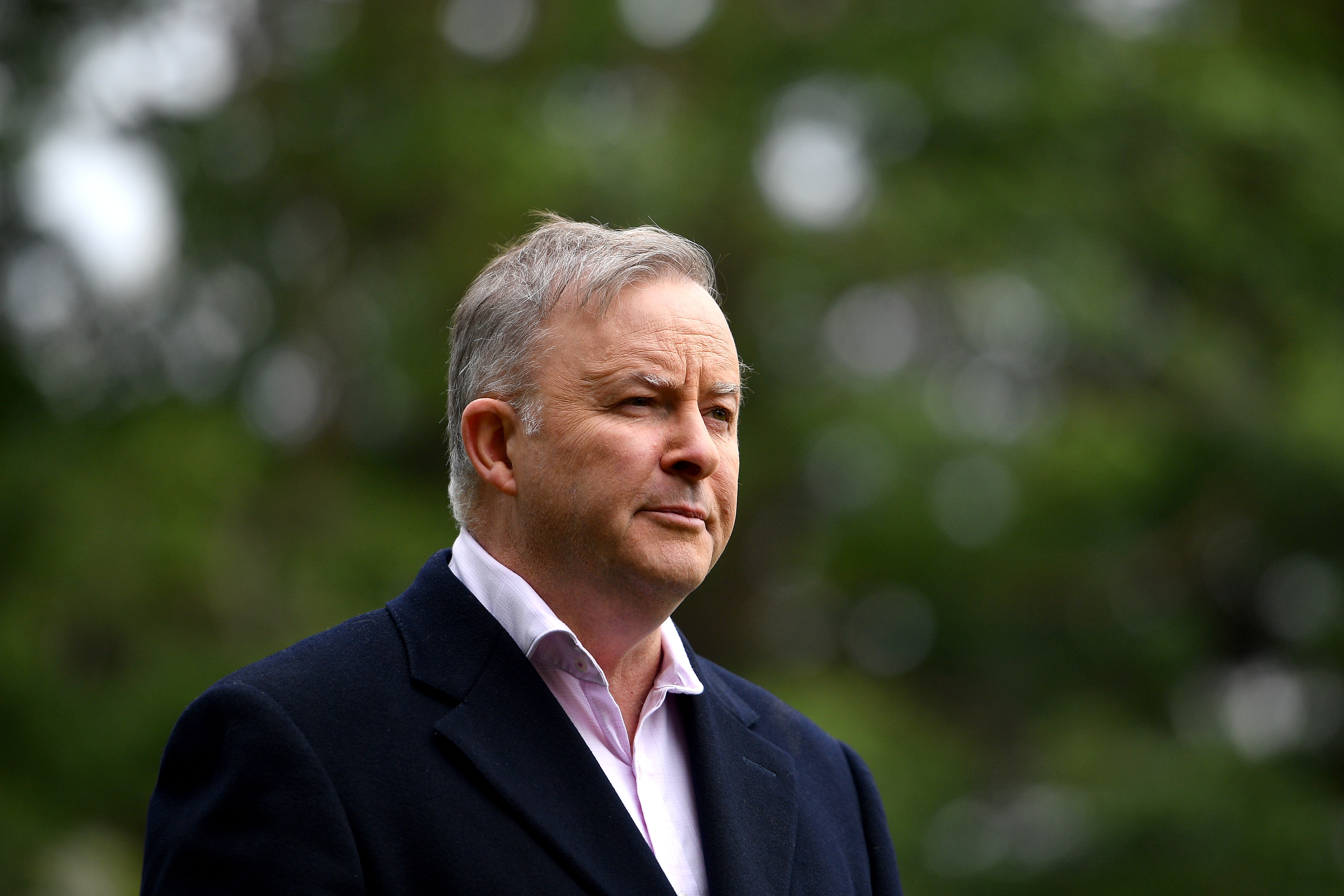 Opposition leader Anthony Albanese lashed the government over the mistake.