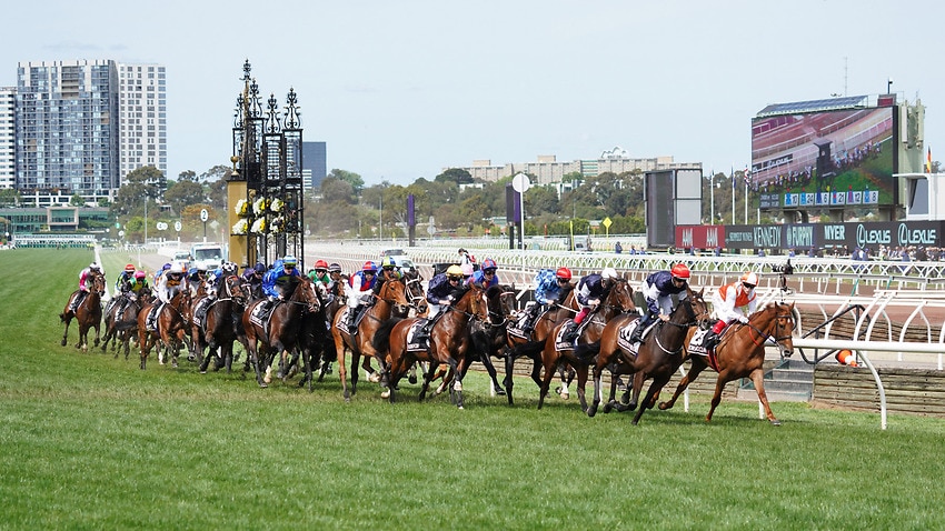 Melbourne cup 2022 betting online buy bitcoin with paypal paxful