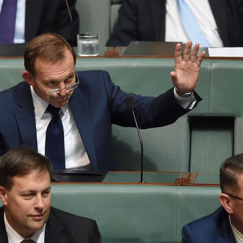 Abbott-Turnbull clash over gun laws deepens