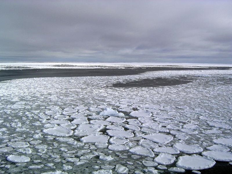 Floating ice levels in the ocean surrounding Antarctica have suddenly plunged, baffling scientists. (AAP)