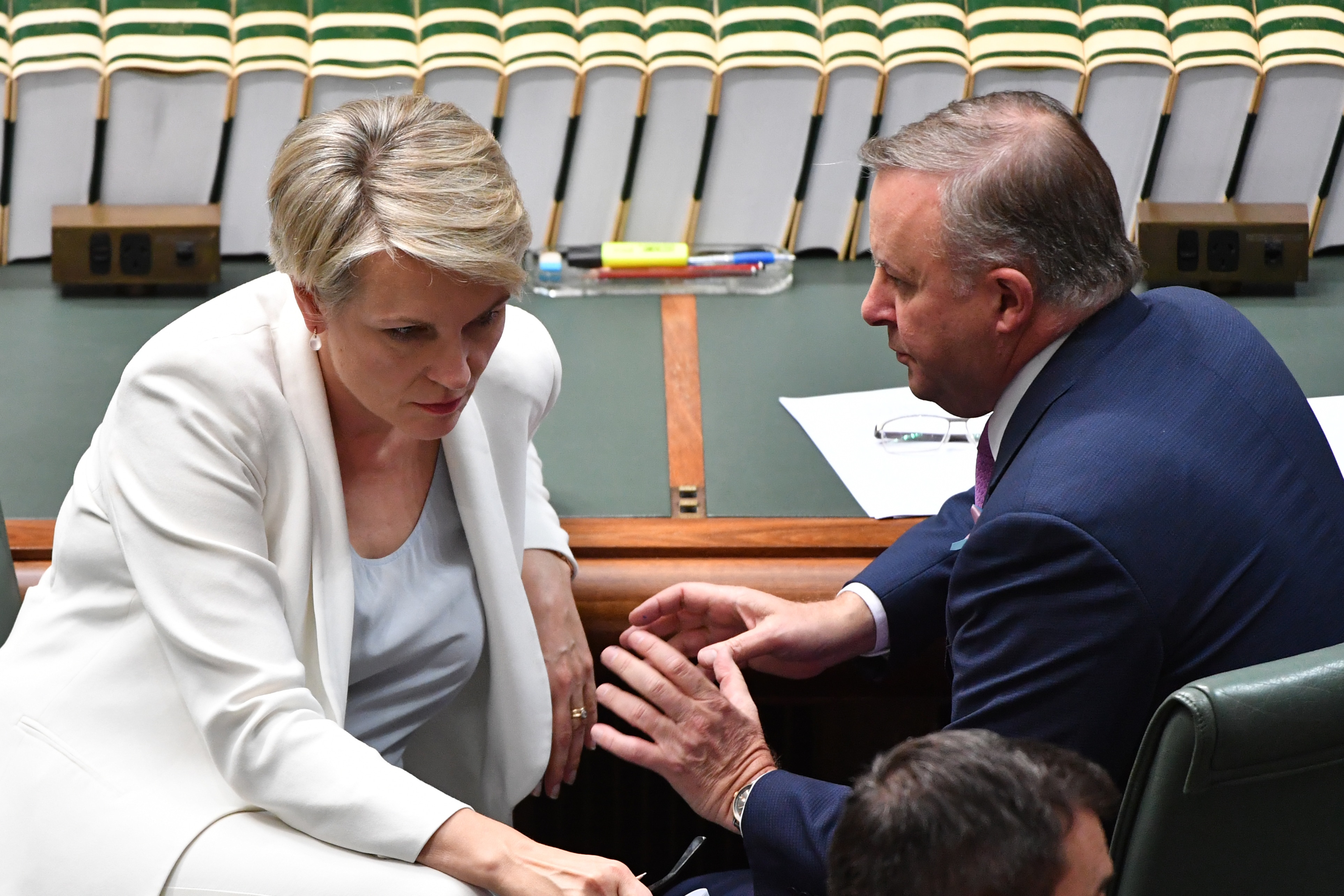 Labor's Tanya Plibersek and Leader of the Opposition Anthony Albanese during Question Time.