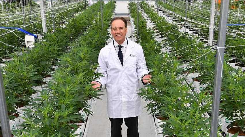 Image for read more article 'Spotlight to be placed on barriers to medicinal cannabis in Australia'