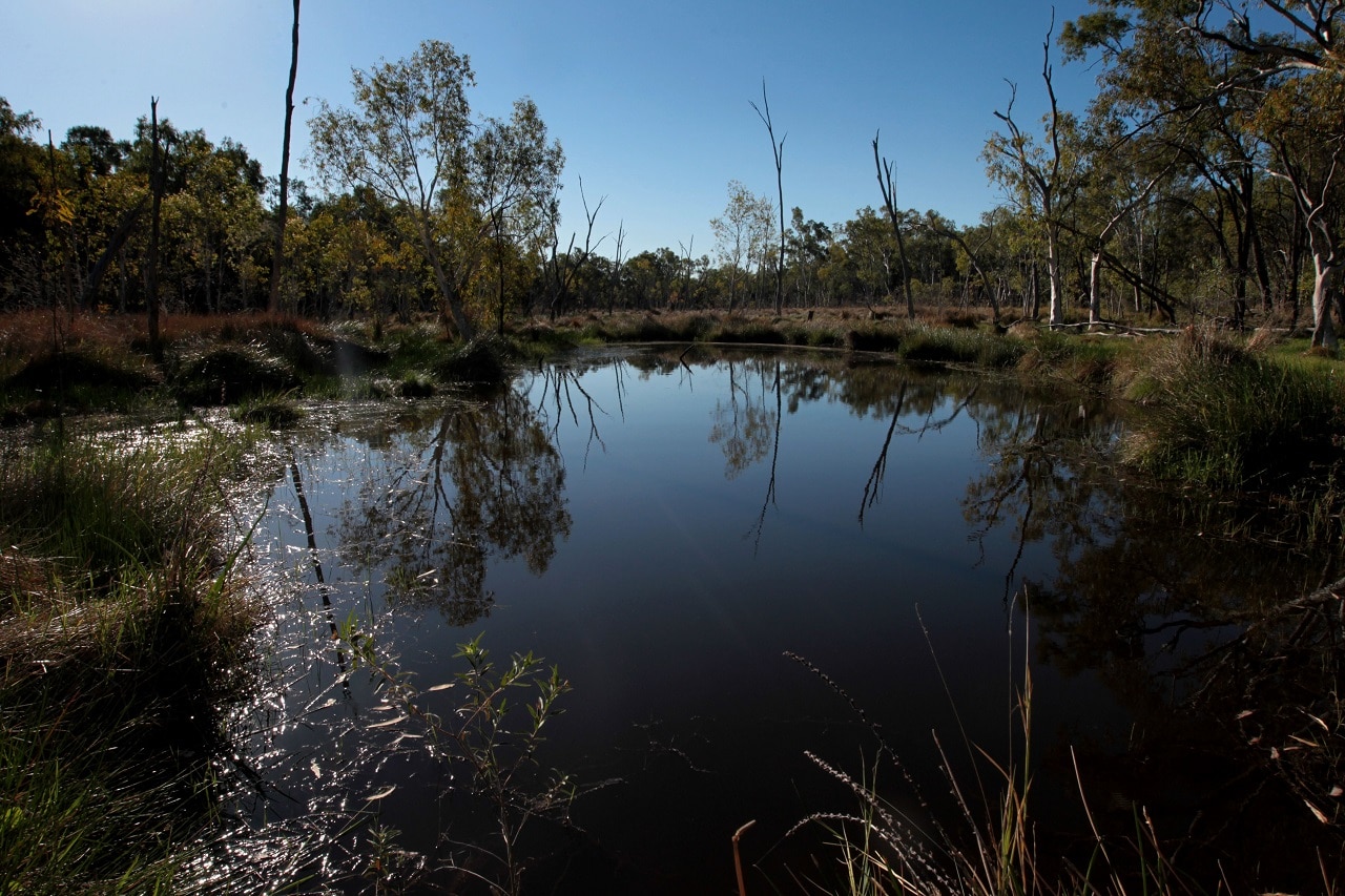 Little Moses Spring which is part of Doongmabulla Springs.