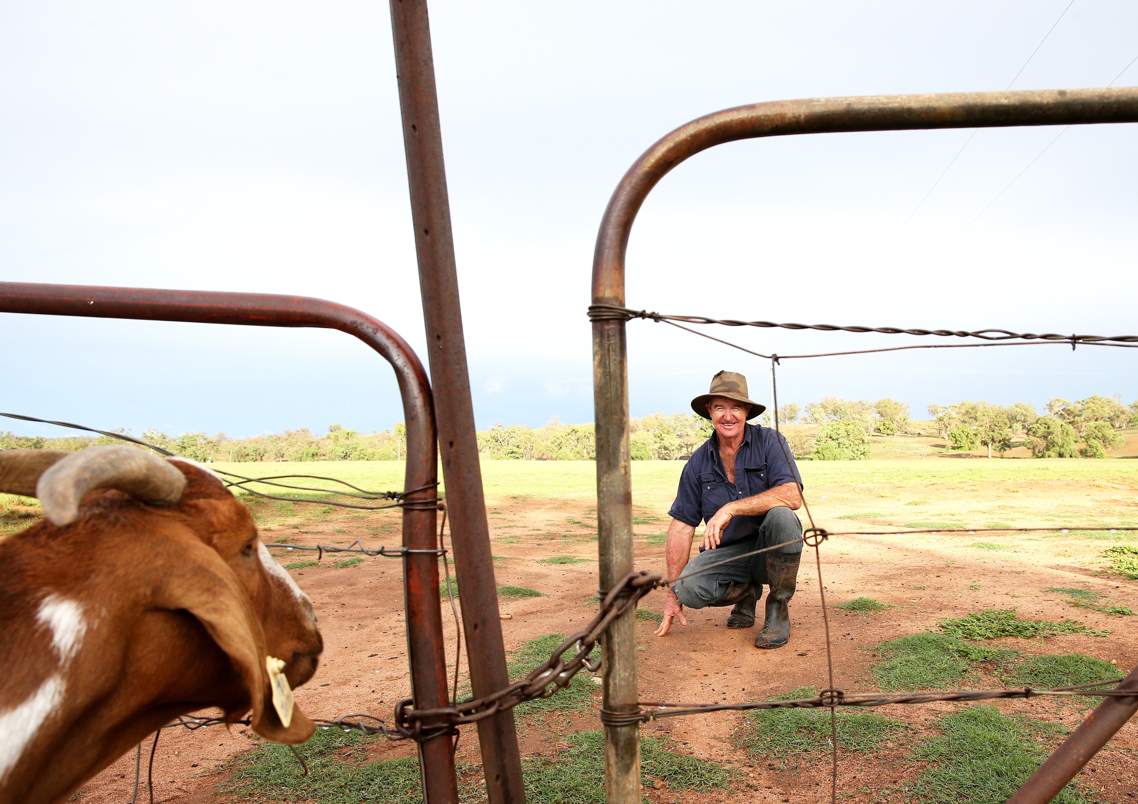 Farmer Les Jones is pictured on his farm in the Goolhi area in north west of NSW, Monday, February 10, 2020 Les Jones received 140mm of rain in the last 10 days. (AAP Image/ Peter Lorimer) NO ARCHIVING