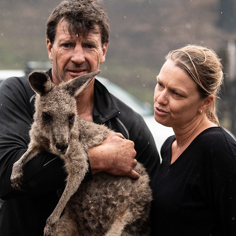 Gary Henderson and Sara Tilling ran the Cobargo Wildlife Sanctuary from their home, which they lost, along with all their animals, barring one kangaroo.