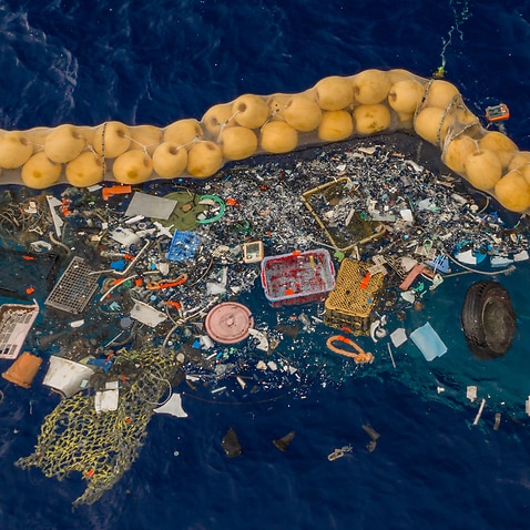 Single-use plastic pollution is seriously impacting the health of Australia's marine environment.