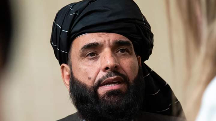 Taliban spokesman Suhail Shaheen