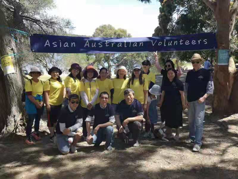 Asian Australia Volunteer