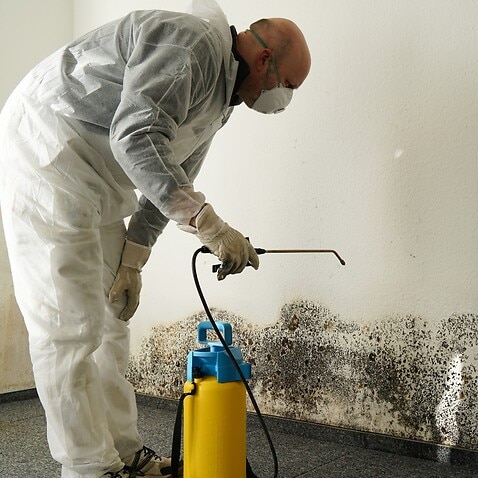 The task of clearing mould is best left to the professionals.