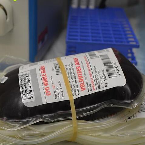 กาชาดออสเตรเลียร้องขอให้ประชาชนทั่วประเทศไปช่วยกันบริจาคเลือดในช่วงนี้ เพื่อชดเชยการบริจากเลือดที่ลดต่ำลงช่วงไฟป่าและพายุในออสเตรเลีย