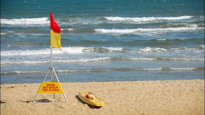 Lifeguard Flags 