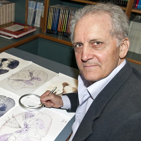 Greek-Australian neuroscientist George Paxinos has discovered unknown region of the brain.
