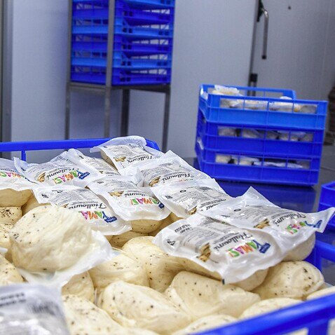 packed halloumi at a halloumi factory in Athienou, Larnaca, Cyprus