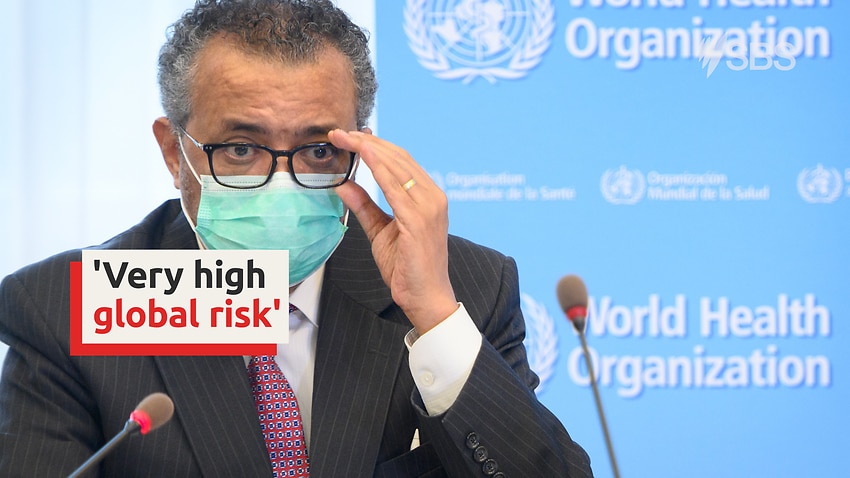 Image for read more article 'Omicron COVID-19 variant poses very high global risk, says WHO'