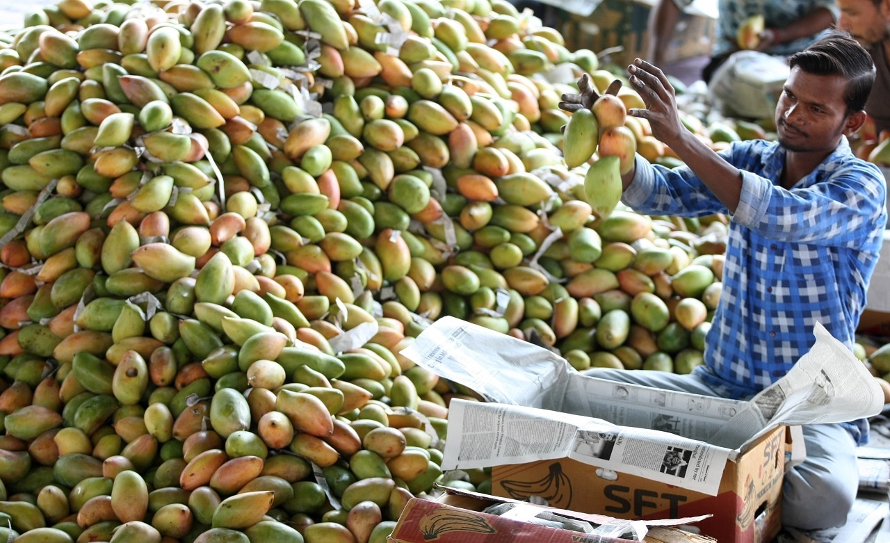 SBS Language Australian mango producers keen to explore Indian market