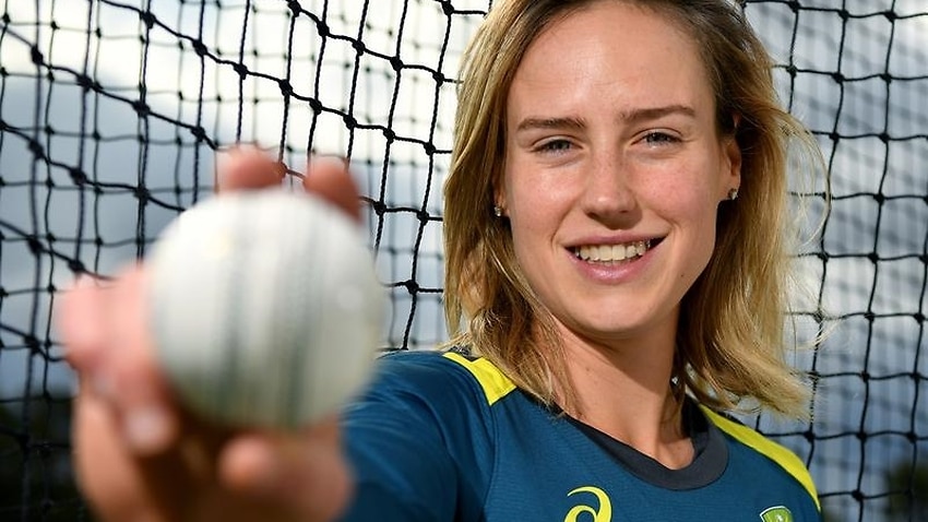 I hope he's paying': Australian all-rounder Ellyse Perry responds to this  Indian cricketer's dinner wish