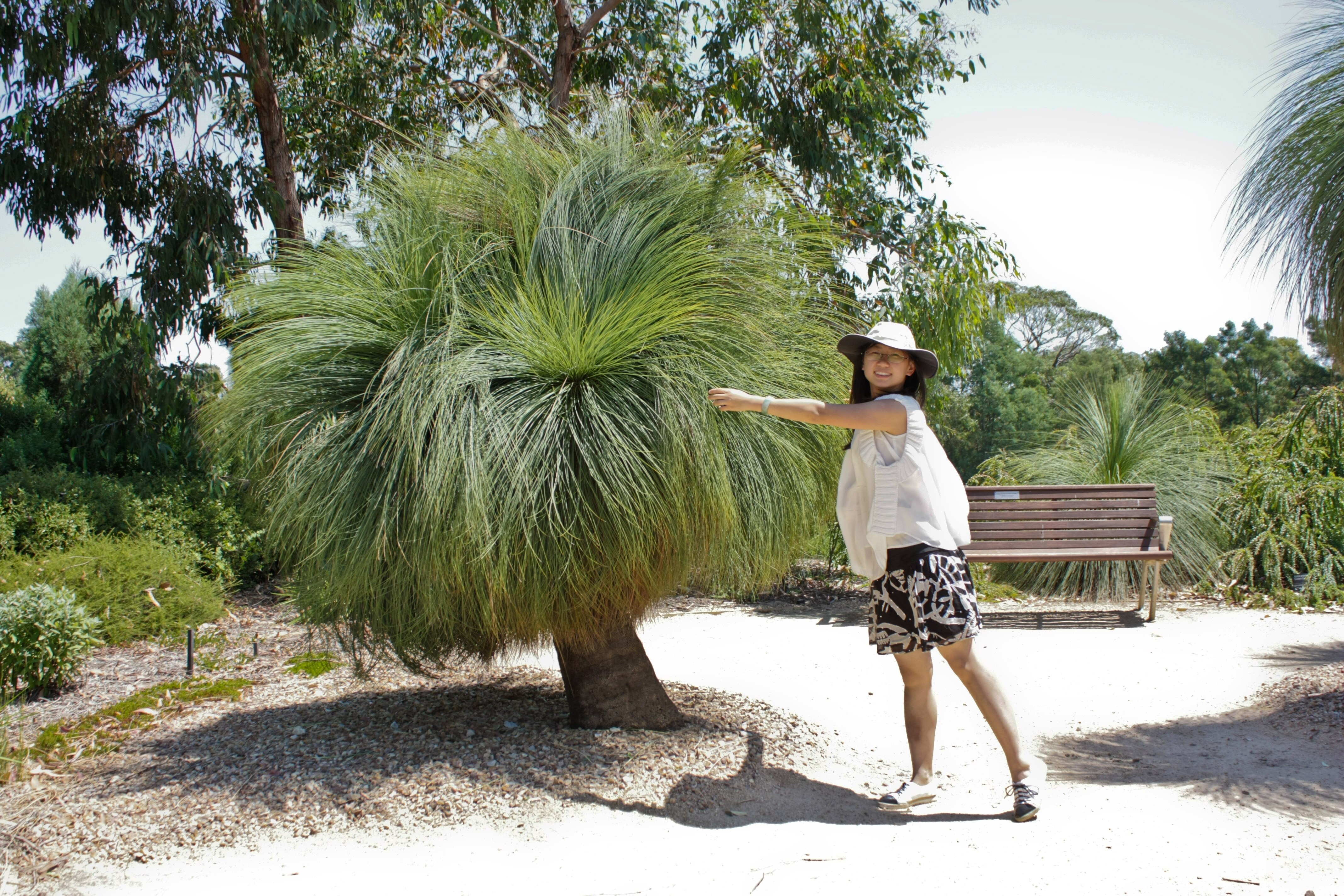 景观设计师、园艺师、墨尔本大学的园艺硕士Sally Yang