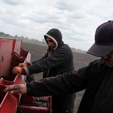 Farm employees work on planting soybeans at a farm in Rohoziv Village, eastern Kyiv, 