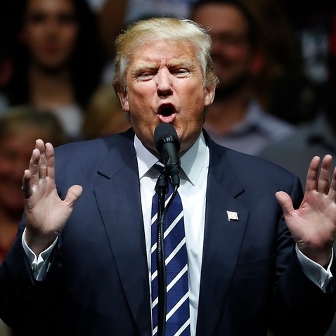 President-elect Donald Trump speaking in Michigan on November 9 