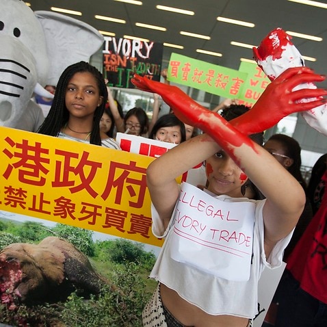 Students from Li Po Chun United World College protest against the ivory trade at the Hong Kong Legislative Council Complex, Hong Kong, China